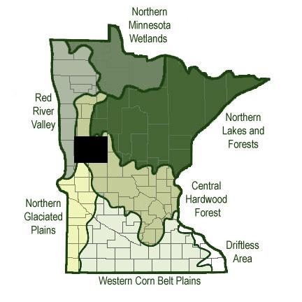 Ecoregion Comparisons Minnesota is divided into 7 ecoregions based on land use, vegetation, precipitation and geology.
