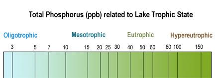 quickly. Total phosphorus (TP) is a better way to measure phosphorus in lakes because it includes both ortho-phosphate and the phosphorus in plant and animal fragments suspended in lake water.
