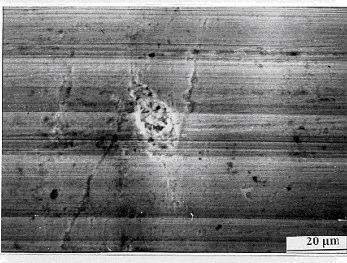 Int. J. Electrochem. Sci., Vol. 2, 2007 558 Figure 9. Optical micrograph of the Cu10Ni alloy surface after 120 hours of immersion in 3.