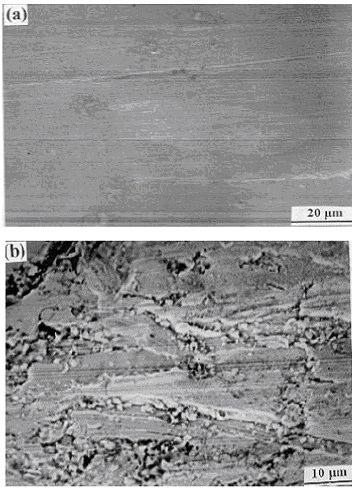 Int. J. Electrochem. Sci., Vol. 2, 2007 560 Figure 14. SEM micrograph of the Cu10Ni alloy after 120 hours of immersion in 3.