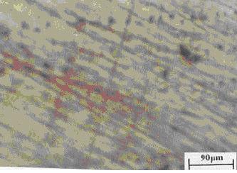 Optical micrograph of the Cu10Ni alloy surface after 5 hours of immersion in 3.4% NaCl under free corrosion conditions Figure 2.