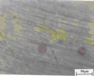 Optical micrograph of the Cu10Ni alloy surface after 24 hours of immersion in 3.