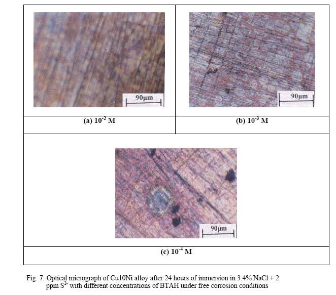 Int. J. Electrochem. Sci., Vol. 2, 2007 557 surface while 10-3 M BTAH does not prevent general corrosion, although it decreases its rate. On the other hand, 10-4 M BTAH leads to extensive pitting.