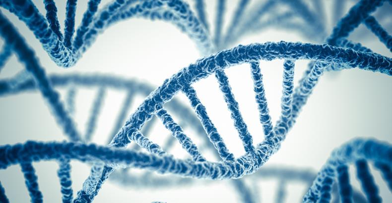 GENETICS ومن أحياها DNA Genes & Chromosomes الفريق الطبي االكاديمي DNA