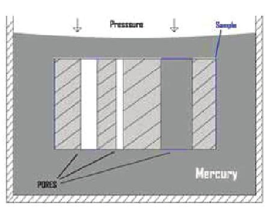 Operating Procedure A nonwetting liquid like mercury does not spontaneously fill pores of a sample because the sample/nonwetting liquid surface free energy is greater than the sample/gas surface free
