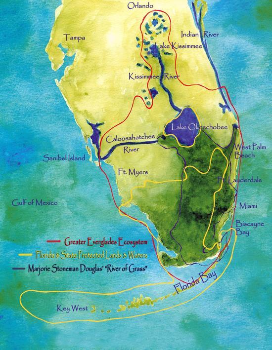 Everglades Facts The Everglades is a marsh, a region, a watershed, an ecosystem The Everglades begins at the Kissimmee River and extends down south through ENP, Florida Bay = Greater Everglades (18k