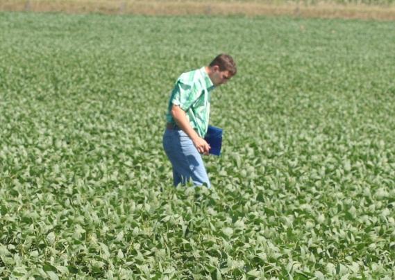 Natural enemies Crop resistance Crop rotation Resistant pests can