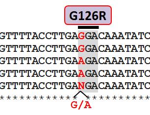 Abamectin 2 SNPs in Glutamate gate channel 1&3 3.