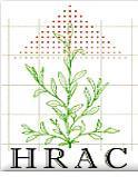 All types of pesticides are at risk for resistance! Herbicides Herbicide Resistance Action Committee (HRAC) http://www.hracglobal.