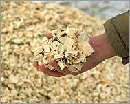 Figure 1: Biomass. From Left to Right: Corn Stover, Wood Chips, Bagasse, Switchgrass and Hybrid poplar.