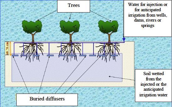 III. Anticipated irrigation and Water injection and storage in the deep soil layers of the plantations using the Buried Diffuser A.
