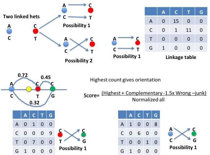 Figure 34 Algorithms of processing the linkages between every two linked hets and