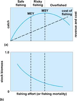 Managing capture fisheries Management measures at MEY