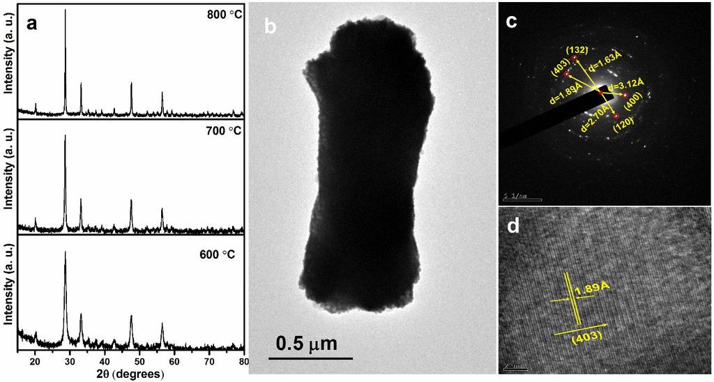 Fig. S2 (a) XRD patterns as a function of calcination temperature of CGZO nanorod bundles (b) TEM image of the CGZO nanorod bundle after calcination at 700 C (c) corresponding SAED pattern (d)