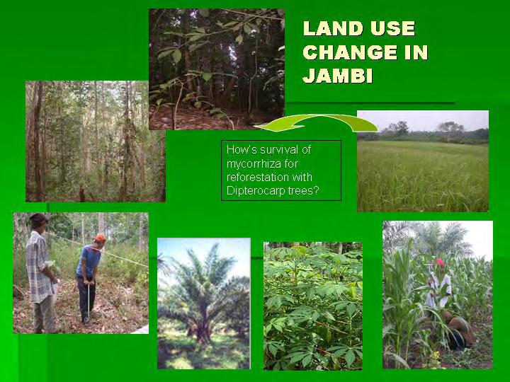The past decades of land use change in Jambi province have provided an experiment that allows us to test the decline of inoculum potential