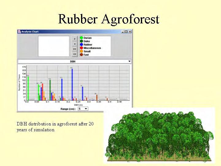 After these exercises with simple planting patterns that help us verify model predictions, we can have a go at the mixed jungle rubber systems,