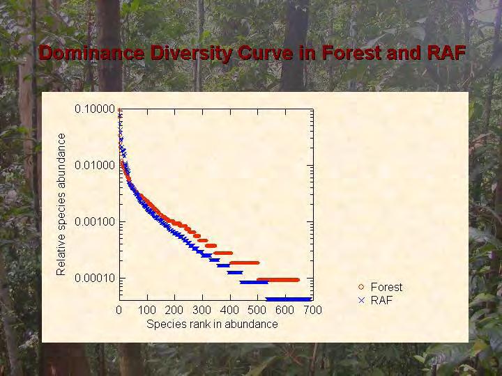 A comparison of Hubblegraphs for both systems reveals that the rubber agroforest is only slightly below the natural forest in