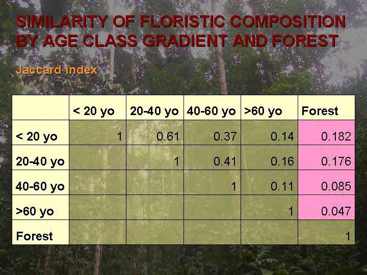 Contrary to expectations, the floristic similarity with forests decreased with age of the rubber agroforests, rather than increasing.