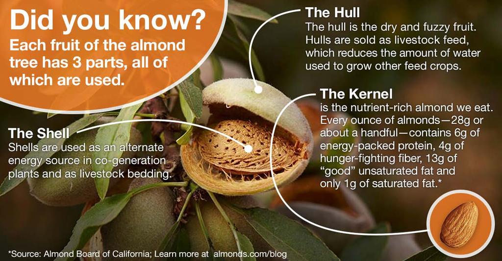 Water Grows More Than Just Almonds Almonds grow on trees, which have their own inherent set of benefits like turning carbon dioxide into oxygen for us to