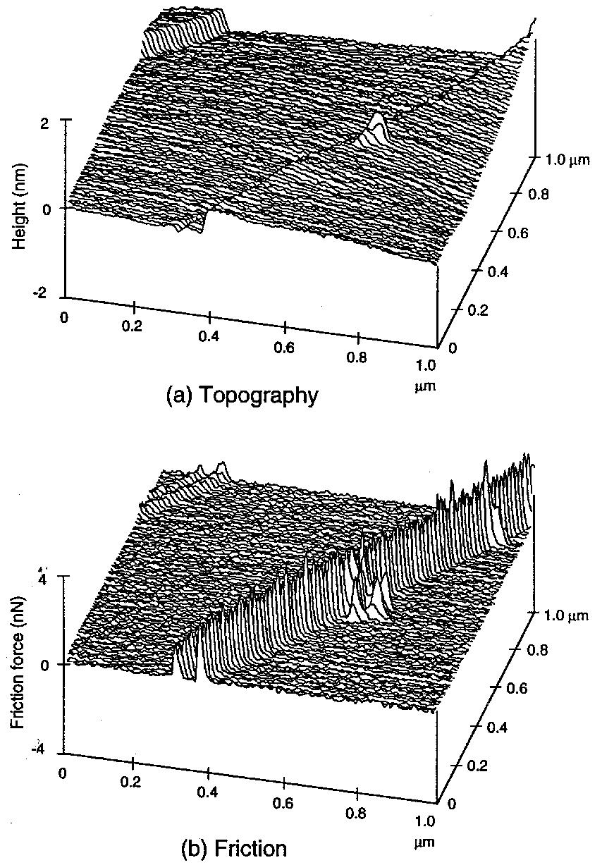 FIGURE 19.8 (a) Surface roughness and (b) friction force maps at a normal load of 42 nn of freshly cleaved HOPG surface against a Si 3 N 4 FFM tip.