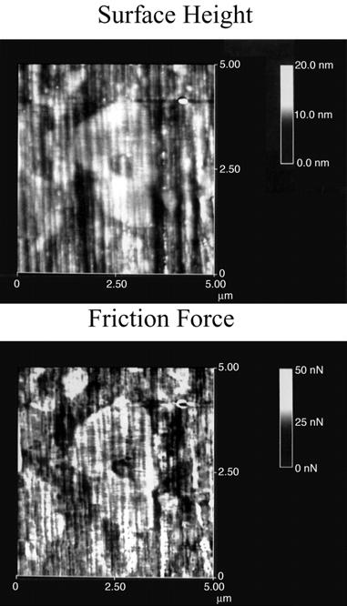 FIGURE 19.9 Gray-scale surface roughness (σ = 0.80 nm) and friction force maps (mean = 7.0 nn, σ = 0.90 nn) for Al 2 O 3 -TiC (70 to 30 wt%) at a normal load of 138 nn. (From Koinkar, V.N.