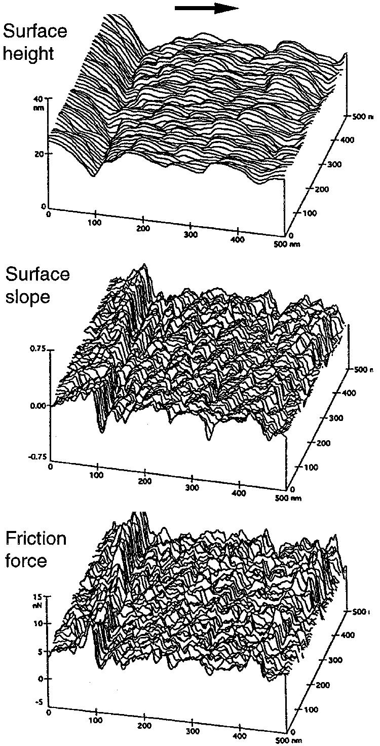 FIGURE 19.10 Surface roughness map (σ = 4.4 nm), surface slope map taken in the sample sliding direction (the horizontal axis; mean = 0.023, σ = 0.197), and friction force map (mean = 6.2 nn, σ = 2.