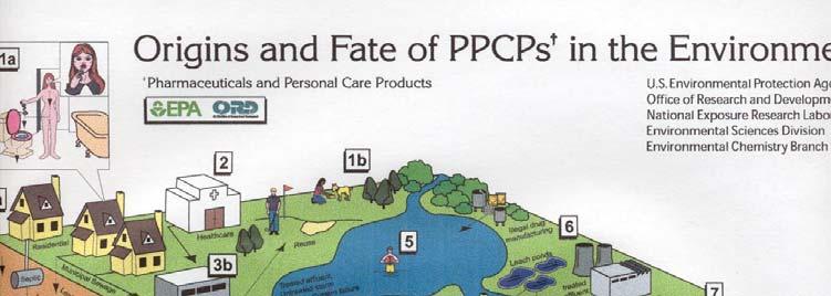 PPCPs in the Environment