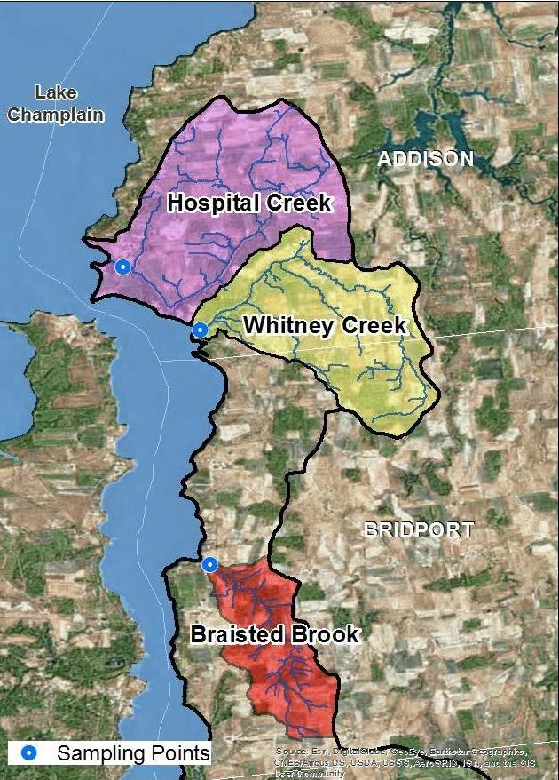 Figure 2. Our study focused on three subwatersheds of McKenzie Brook: Hospital Creek, Whitney Creek and Braisted Brook are the three subwatersheds.
