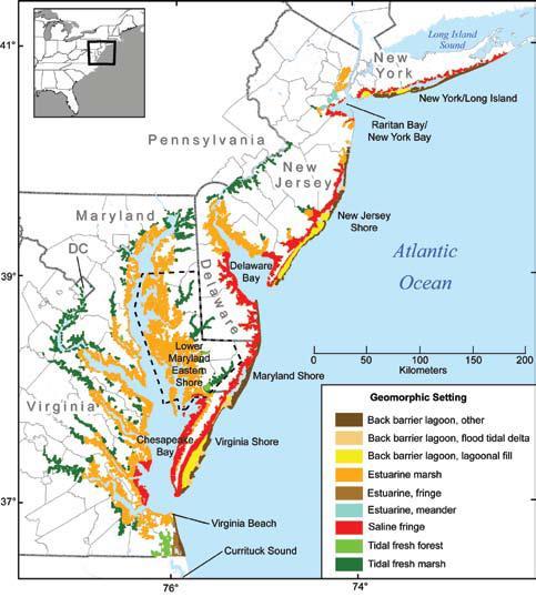 & vegetative communities Wetland response to sea level rise expected to vary with geomorphic