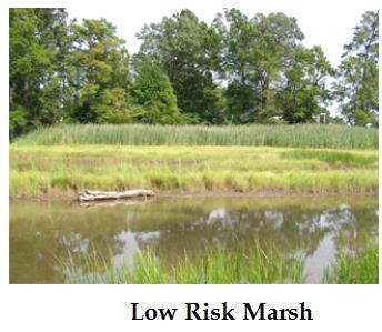 evaluated Tidal marshes in the