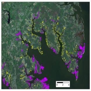 Importance of landscape setting on coastal wetland ecosystems The extent to which landscape setting moderates tidal marsh connectivity & estuarine species diversity, composition, and distribution is