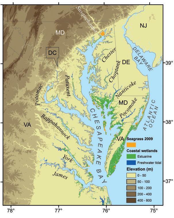 Existing coastal wetlands Chesapeake Bay A.H. Baldwin from Baldwin et al.