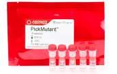 Mutagenesis PickMutant For a reliable, robust and highly efficient Site-directed Mutagenesis based in PCR MT001 15 rxn Includes for 15 rxn: 150 μl MasterMix Proofreading DNA Polymerase (2x) 300 U