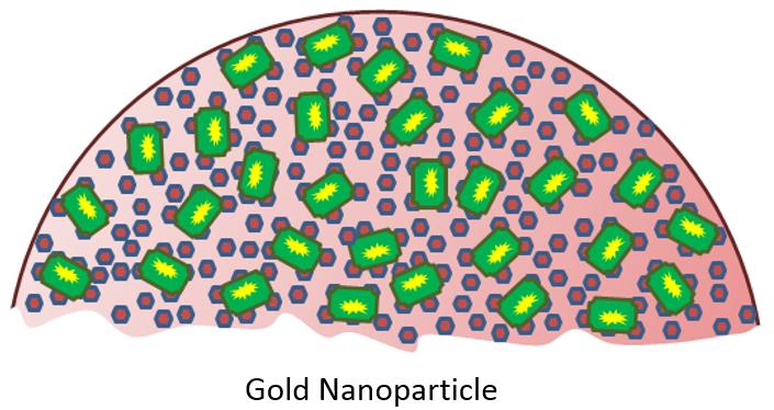 Figure 1: Graphic showing the formation of the strepatividn-biotin complex and it s binding to a gold nanoparticle Materials Nominally 80 nm spherical gold nanoparticles with