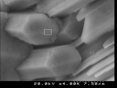 The crystals were observed to have a hexagonal section (Fig 5), which is similar to the SEM image taken by Rendell and Jauberthie [1999].