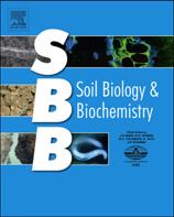 < OMW effects on soil chemical and biochemical parameters were not long-lasting. < Soil EC, exchangeable K, soluble phenols and ammonium were short-lasting affected.