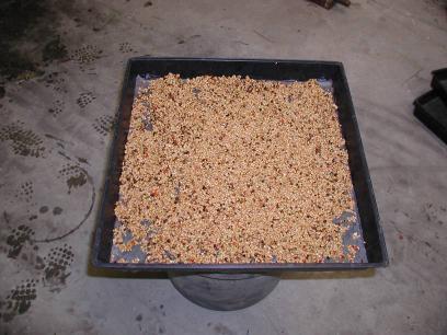 Re-clean seed by winnowing Seed Drying (Seed not properly dried will germinate/deteriorate in storage) 1.