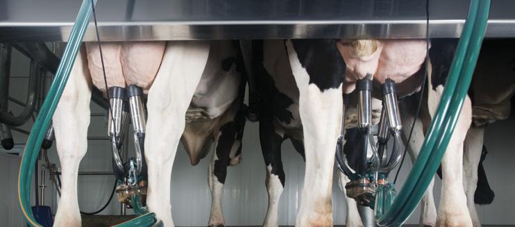 Frequently Asked Questions Q Why do we need a new milking unit?