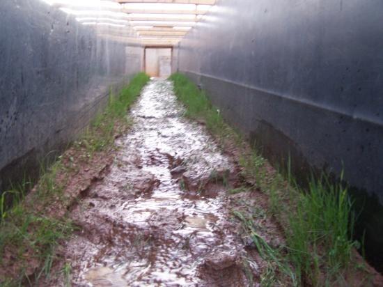 Typical 1+ Year Control Vegetation-Only After Testing CONCLUSIONS Rectangular channel (flume) tests were performed in accordance with ASTM D 6460 using Loam soil protected with an RECP.