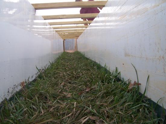 Testing in a rectangular (vertical wall) channel was conducted to achieve increasing shear levels in an attempt to cause at least 0.5-inch of soil loss.