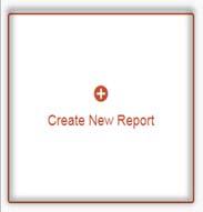 Step 2a: Click on Create New Report.