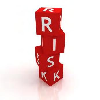 Risk Categories Financial Reporting Operational Credit Information System