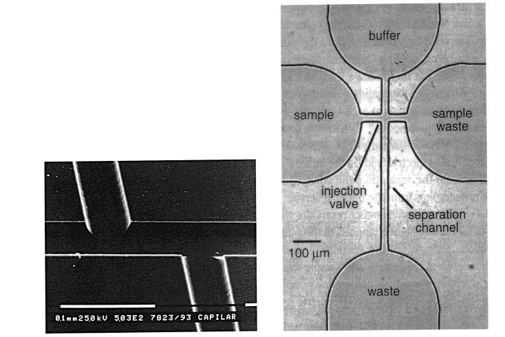3090 Chemical Reviews, 1999, Vol. 99, No. 10 Kennedy et al. Figure 8. Diagrams of two injector types for microchip electrophoresis. (a) Layout of a glass chip with the double T type injector.
