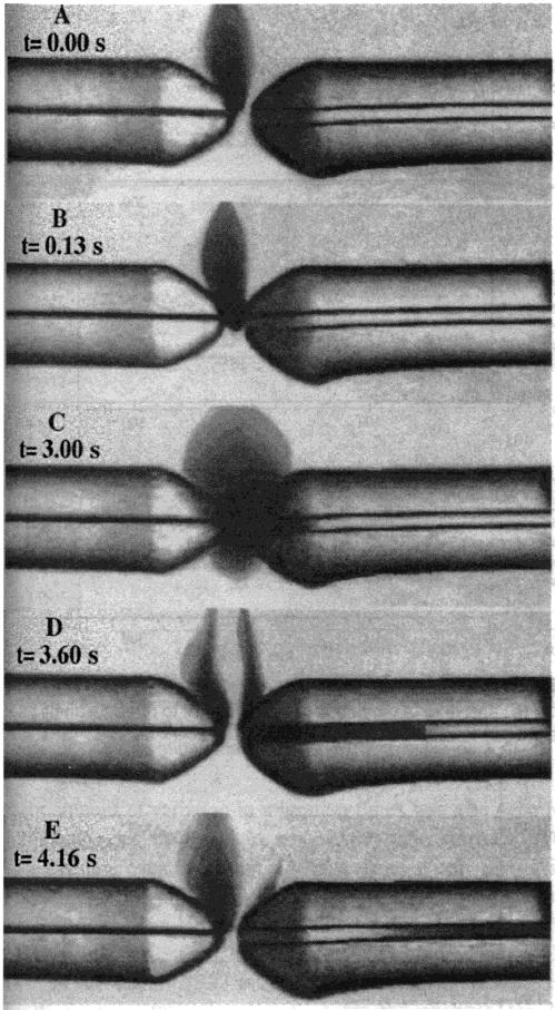 Fast Analytical-Scale Separations by CE and LC Chemical Reviews, 1999, Vol. 99, No. 10 3089 Figure 7. Video images of a flow-gated injection.