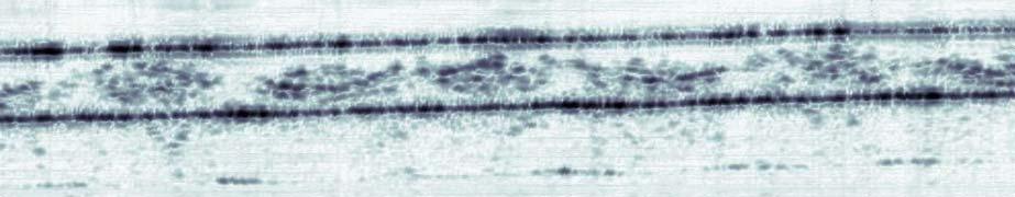 Fig. 2: OCT images of a glass-fibre epoxy compound material (GF-Epoxy). Bar: 500 µm.