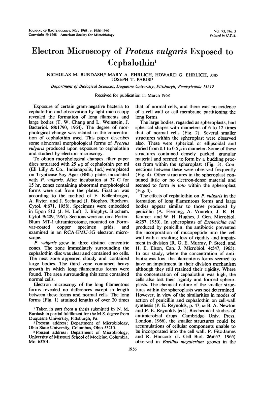 JOURNAL OF BACTERIOLOGY, May 1968, p. 1956-1960 Copyright ( 1968 American Society for Microbiology Vol. 95, No. 5 Printed in U.S.A. Electron Microscopy of Proteus vulgaris Exposed to Cephalothin' NICHOLAS M.