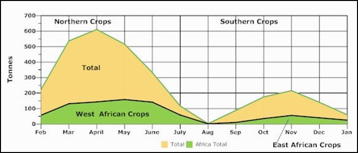 Tanzanian 11 Cashew Industry Seasonality: Sept-Jan The crop