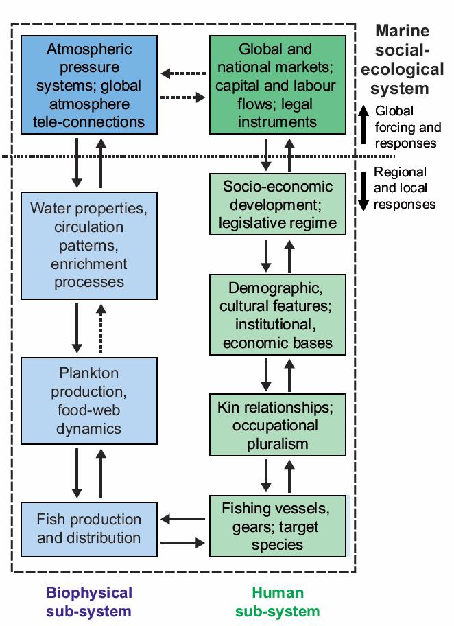 Coupled marine social ecological systems (Perry et al.