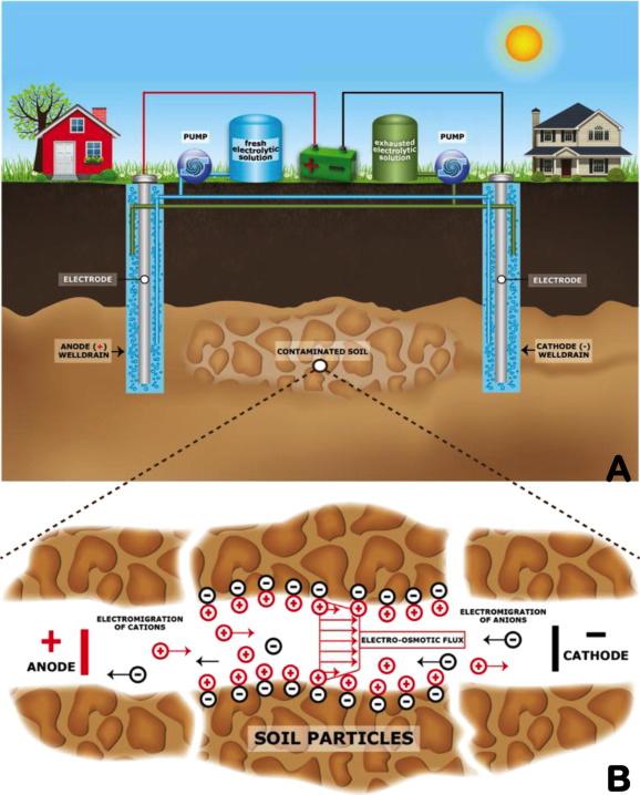 Field Implementation of Electro-Osmosis Wells are electrically charged into corresponding cathodes and anodes Contaminants migrate across