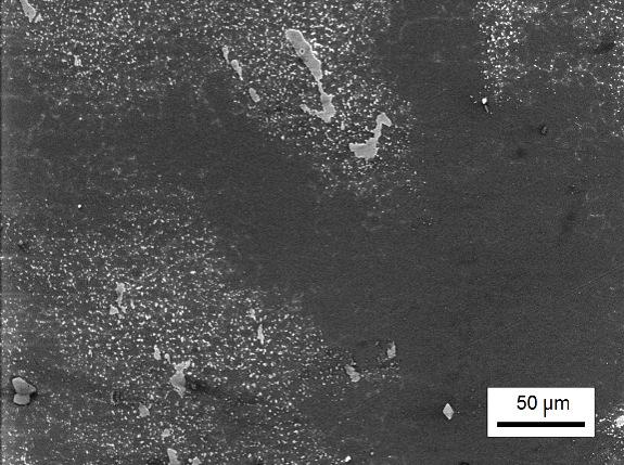 Focused ion beam (FIB) technique was applied to examine the characteristic features of microstructure and formation of surface relief and early cracks. 3. Results and discussion 3.1.